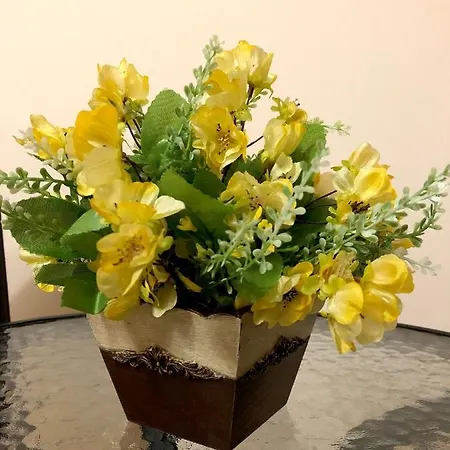 Gasthuis за гости тони и крис