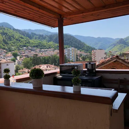 за гости тони и крис 3* Devin