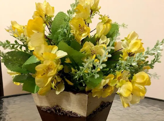 בית הארחה за гости тони и крис