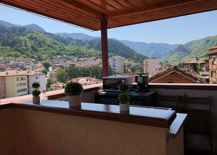 за гости тони и крис 3* דבין